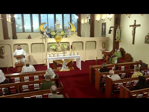 Daily Readings and Homily - 2025-10-09 - Fr. Matthew