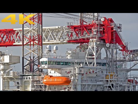 🛳️ 7+ HOURS MARINE TRAFFIC ⚓️ AT THE BIGGEST PORT OF EUROPE IN ROTTERDAM - 4K SHIPSPOTTING 2024