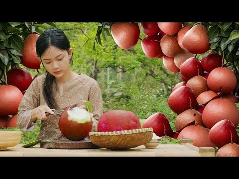 Harvesting Pink Pomelo, Peeling the Skin to Make Pomelo Dessert