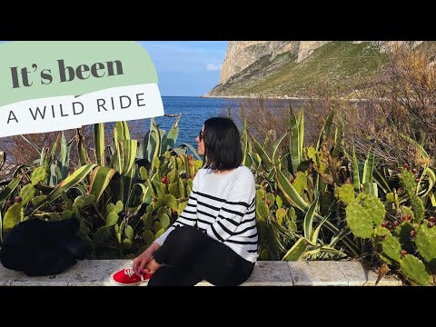 Lessons from living in Palermo