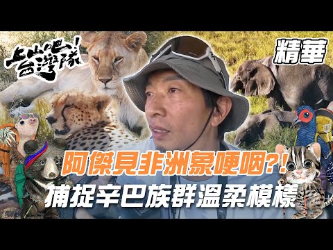 深入國家公園核心！阿傑見非洲象激動哽咽？！捕捉獅子王辛巴族群溫柔模樣｜上山吧！台灣隊 精華