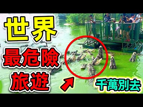全世界最危險的10個旅遊景點！每年超4000人在此喪命，第一名99%概率去世，卻有無數人搶著去。|#世界之最top #世界之最 #出類拔萃 #腦洞大開 #top10 #最危險景點