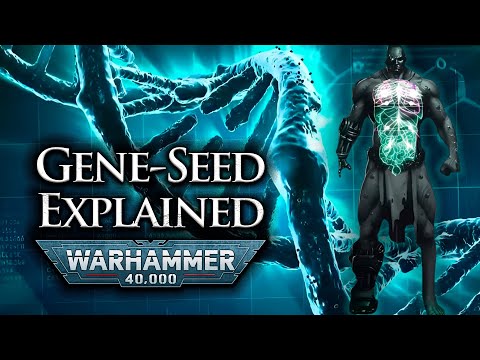 Gene-Seed Explained: Inside the Space Marine Creation | Warhammer 40k Lore