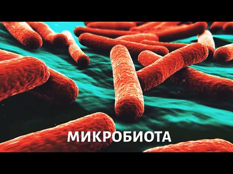 Микробиота. Медицина будущего