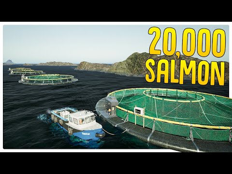 Getting Rich Growing & Selling Salmon in Ships at Sea