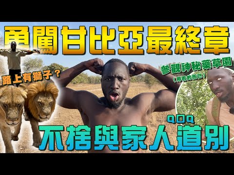 史上路途最艱辛「卡在荒漠大草原＋小木筏破大洞」只為參觀神秘藥草園...非洲獅子逛大街？返台前與家人道別 幫ＱＱ【進擊甘比亞最終章】#黑色星期五 #91