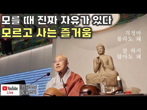 [돈오51] 모르고 사는 즐거움, 걱정마 몰라도 돼, 잘 하지 않아도 돼, 모름에 편안해 질 때 자유가 있다
