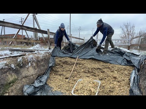 Зимова годівля і догляд за бичками! Вечірні працівники!