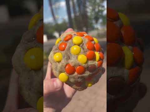 Peanut butter cup 🤎🤎 #cookie #peanutbutter #florida #love #cookies #bakery #stuffedcookie