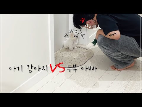 저는 아무 잘못이 없어요..