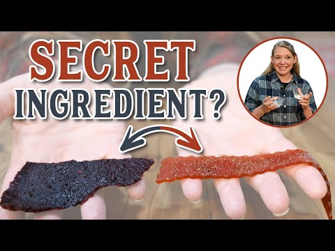 This SECRET INGREDIENT changed Everything (Fruit Leather Your Kids Will LOVE)