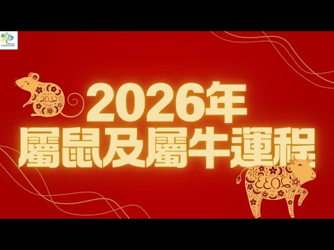 2026年 🐭生肖鼠🐮生肖牛 流年運勢 #2026運勢 #2026流年運程 #流年運程 #十二生肖運勢 #風水 #八字 #奇門遁甲 #生肖運程 #生肖牛 #生肖鼠