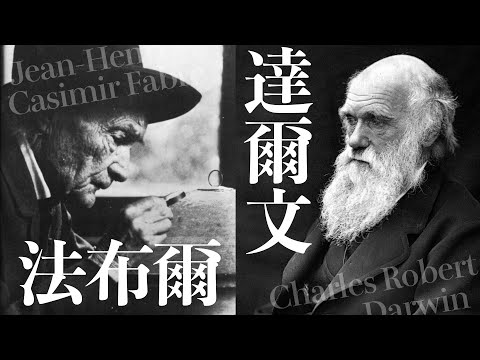 【法布爾vs.達爾文】王道還｜科學史沙龍