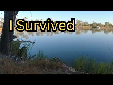 Peaceful FREE Camp on the Murray River – Wildlife, Fish & Zero Crowds!