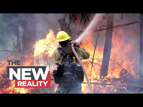 On the Fireline: Inside Canada’s record-breaking wildfire season