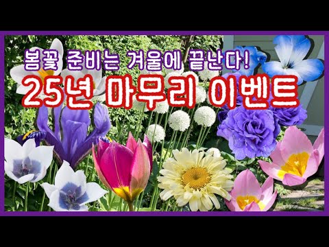 Plant now to make a difference in spring 🌱｜Amaryllis, allium, iris ensata, native tulips, and cro...