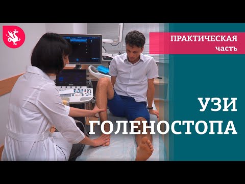 УЗИ голеностопного сустава: техника сканирования