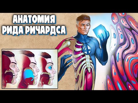 Анатомия: Мистер Фантастик (Фантастичная Четверка)