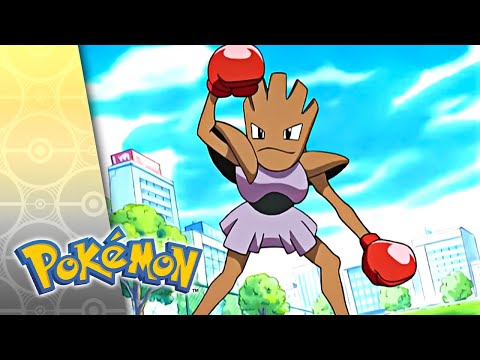 Gotta Catch Ya Later! | POKÉMON FULL EPISODE 63 | Season 5