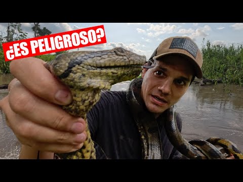Exploring the Peruvian Amazon Forest 🇵🇪