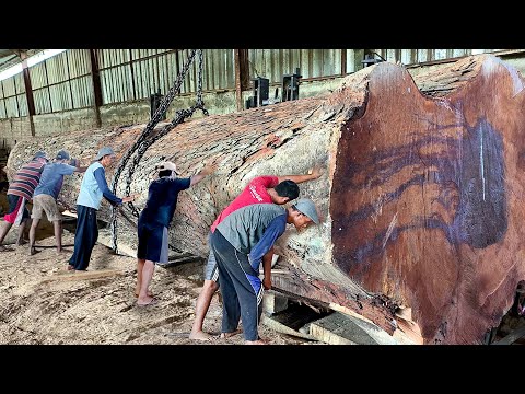 Juragan kapal dari inggris borong kayu mahoni mewah senilai puluhan dolar !! Digergaji Sawmill
