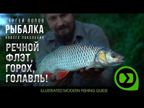 Речной флэт фидер, горох и голавль / Рыбалка нового поколения