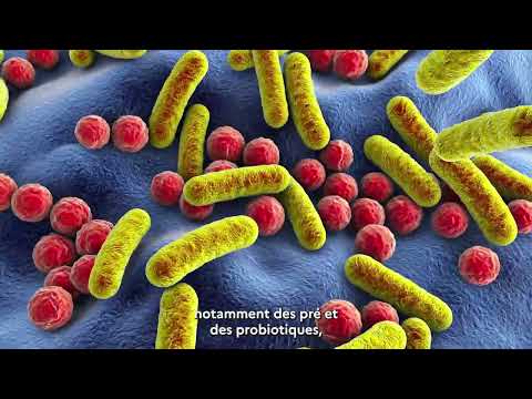 Antibax – projet lauréat Impact Santé