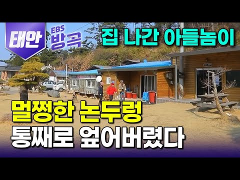 [충남 태안] "너만 보면 성이 난다" 번듯하게 양복 입고 살라고 있는 돈 끌어모아 20년 유학까지 보냈는데.. 엄마 집으로 돌아와 멀쩡한 논 메워버린 아들｜#한국기행 #방방곡곡