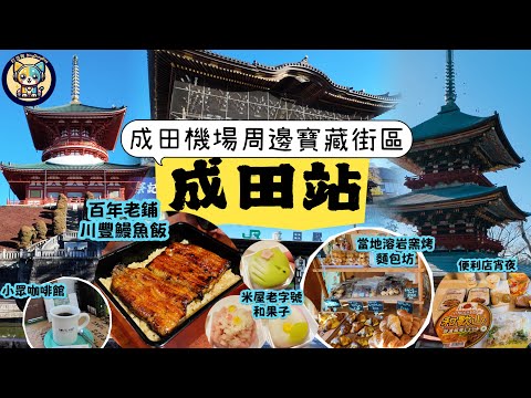 【日本成田站】好吃好逛的江戶風情街區|Japan travel-Narita Station|成田山新勝寺&公園|百年老店川豐鰻魚飯|老字號米屋花生冰激凌&精緻生果子|小眾咖啡館喝手衝|羅森夜宵爽歪歪