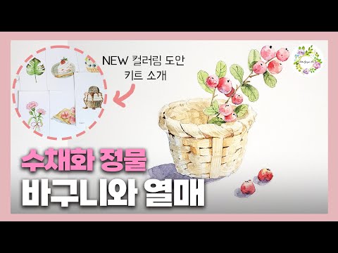 수채화 정물그리기 스케치부터 채색까지 함께 그려요 🎨 물고기아트 수채화 watercolor painting