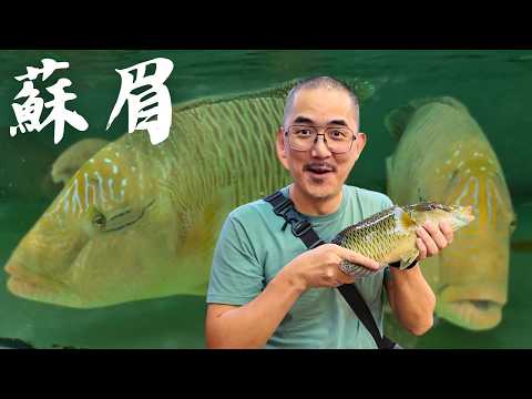 【食魚之旅】為了龍王鯛跑一趟馬來西亞沙巴 嘗嘗傳說級美味