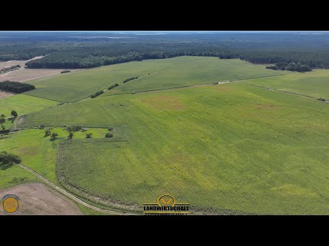 So sieht ein 200ha Feld aus! Köhl Harvest bei der 42.000T Ha Maisernte Maishäckseln Mais John Deere