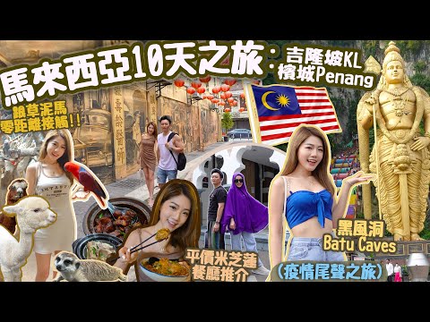 【10日 馬來西亞旅遊vlog🇲🇾】吉隆坡和檳城🛫平價米芝蓮餐廳😋KL Tower｜馬來西亞肉骨茶｜馬來西亞酒店🌴Batu Caves｜Travel in KL｜米芝蓮餐廳推介【馬來西亞vlog】