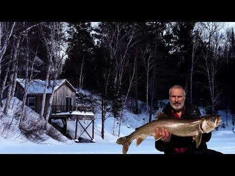 Alone at Another Off Grid Cabin in the Wilderness, Catching my Biggest Lake Trout