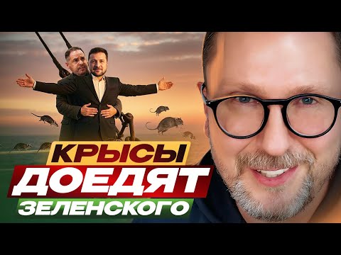 Rats will eat Zelensky
