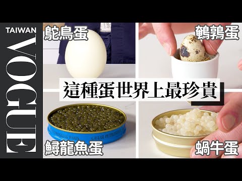 12 Types of Eggs, Examined and Cooked ｜Vogue Taiwan
