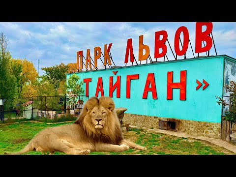Самый ОПАСНЫЙ парк в Крыму! Сафари-парк ЛЬВОВ ТАЙГАН. Показываю всю ПРАВДУ. Крым, Белогорск 2025 