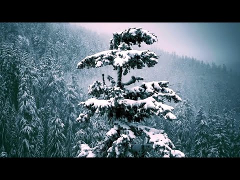 Красивая Музыка Для Души (зимние мелодии) !!!