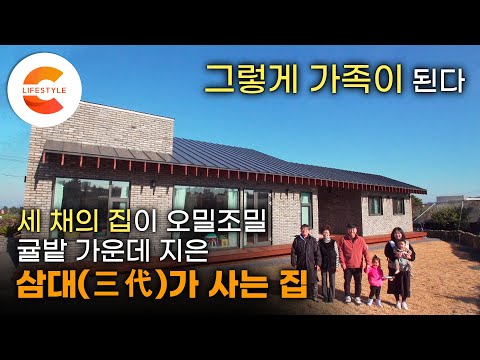 7일 동안 흙집 짓기를 배워 8개월 만에 집을 지은 아버지, 그 옆에 아들도 나란히 집을 지었다🏘 한라산과 바다가 보이는 삼대(三代)가 사는 귤밭 위의 집