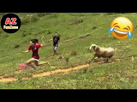 Best Funny Videos Of The Year - Fails & Hilarious Moments 😂🤣 Try Not To Laugh #17