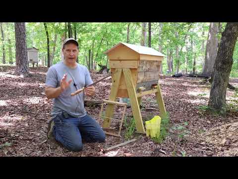 Top Bar Hive 1 of 3 2025