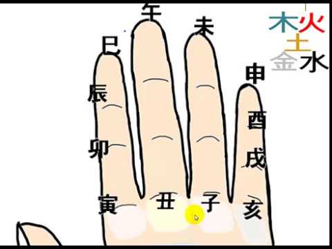 운지법 손바닥을 이용한 12운성 자리 익히기