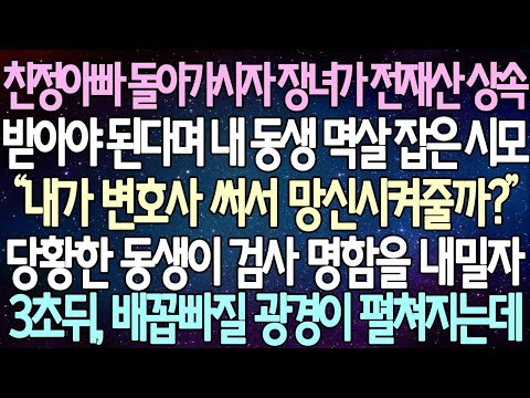 친정아빠가 세상을 떠난 후 첫째 딸이 모든 재산을 상속받아야 한다며 동생의 멱살을 잡은 시어머니가 당황한 동생에게 변호사 명함을 건네자 3초 뒤, 믿을 수 없는 일이 일어났다.