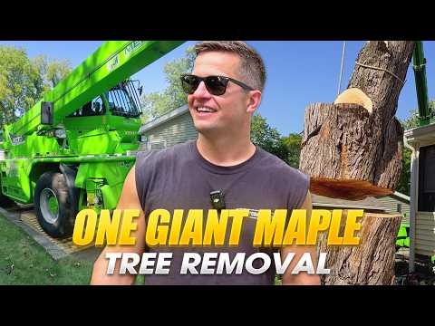DANGEROUS TREE REMOVAL - Drone Action