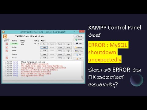 [FIXED] XAMPP Error: MySQL shutdown unexpectedly | Sinhala | සිංහලෙන් | 2024 | Black Tiger