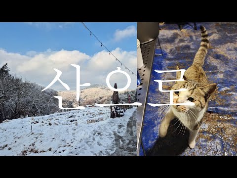 다이빙 멤버들과 산으로 캠핑을 가다 (( 그런데 딸이 편집한 )) / 캠핑장 추천 / 경기도 캠핑장 / 겨울 캠핑/솔몽지캠핑장