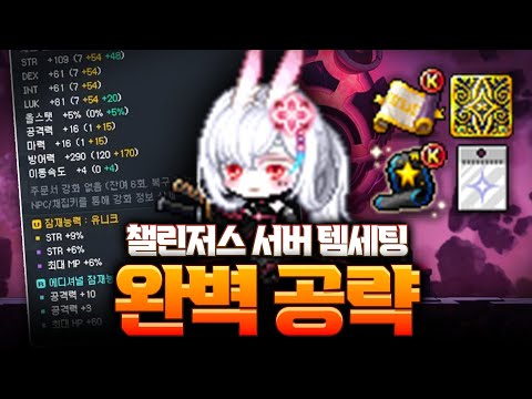 [메이플] 메린이 필수 시청!! 챌린저스 서버 템세팅 완벽 공략 / 기본 개념 설명부터 아이템 세팅 방법까지 정말 자세하게 알려드립니다!!