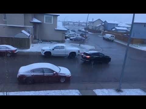 Snow Showers At Calgary