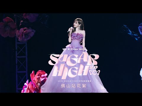 王心凌 Cyndi Wang –【SUGAR HIGH 2.0 世界巡迴演唱會】佛山站花絮