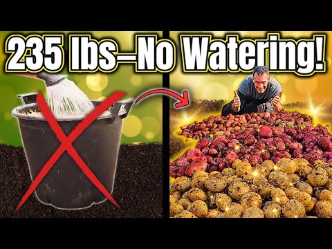 You Won’t Believe This Potato Trick: 235 lbs in 200 Sq Ft!